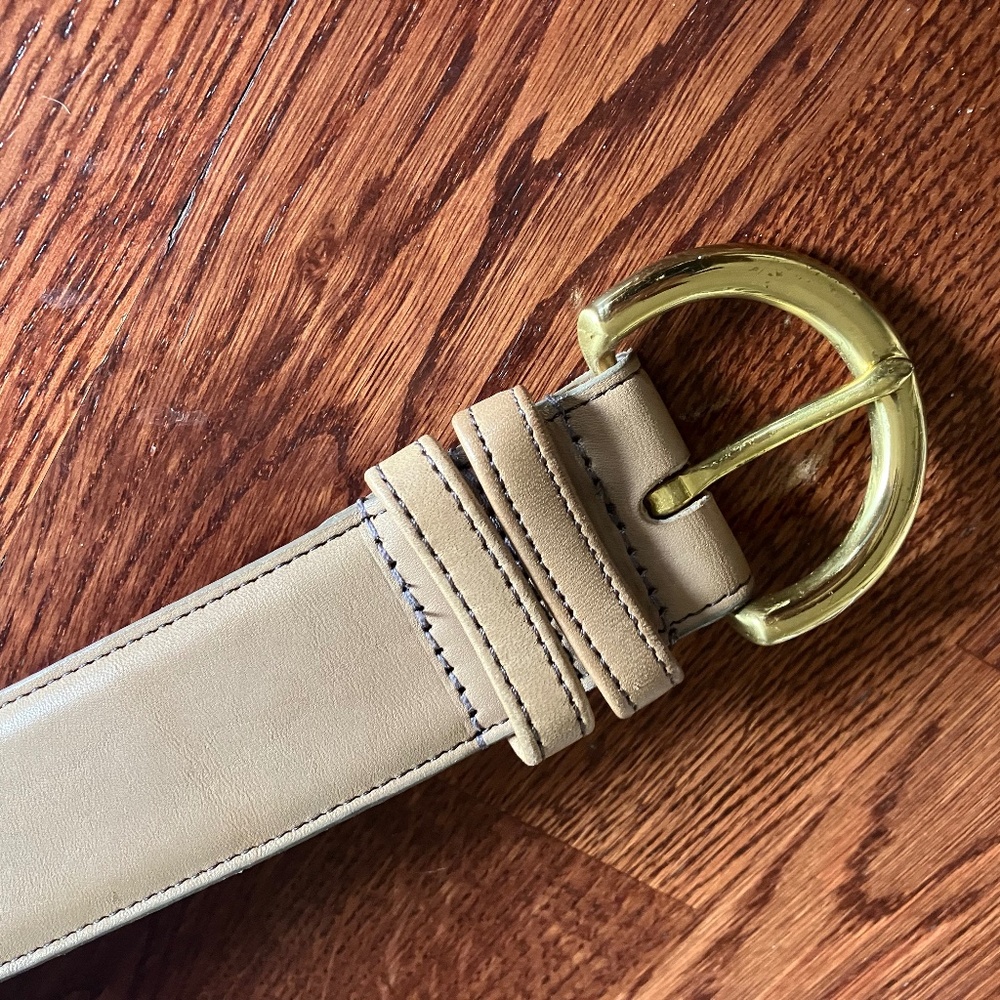 Coach belt
